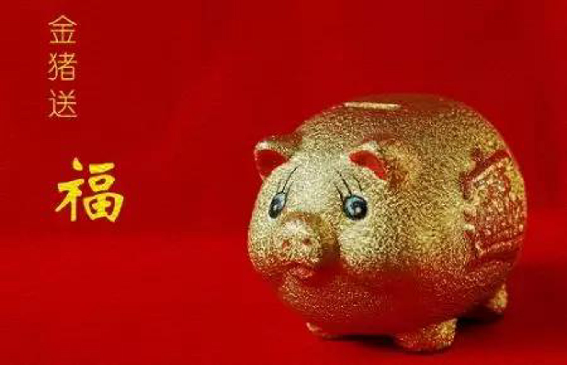 综合布线:构建企业信息高速公路